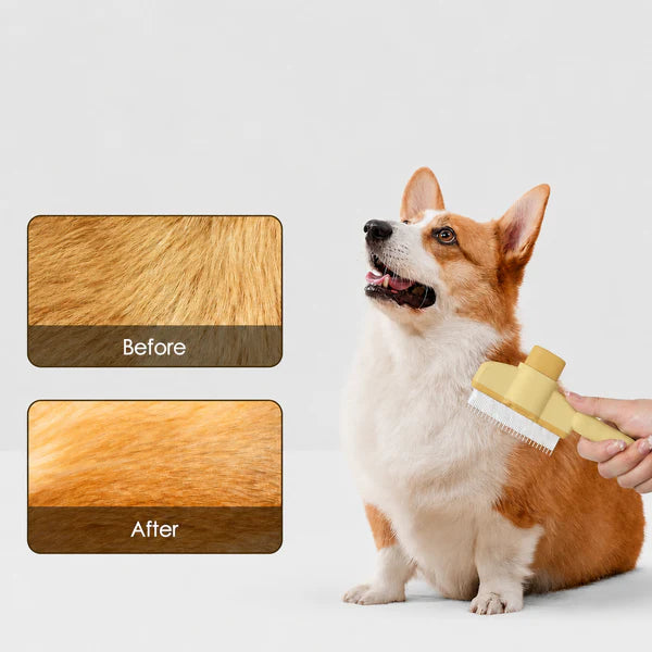Less Shedding. Cleaner Home. Happier Life.