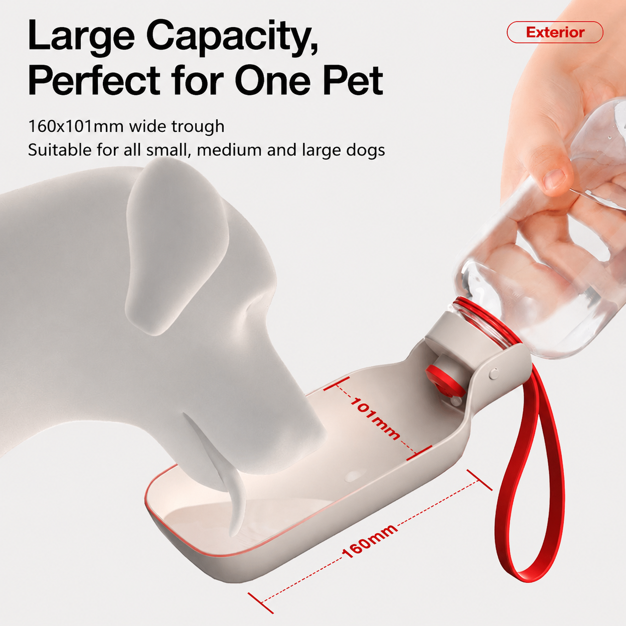 Never Let Your Dog Struggle for Water Again.