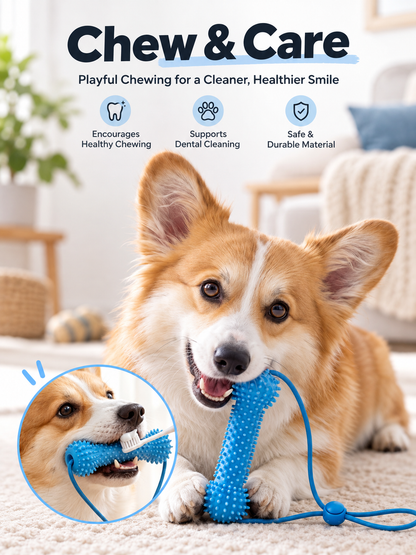 ChewClean™ Dental Tug Toy