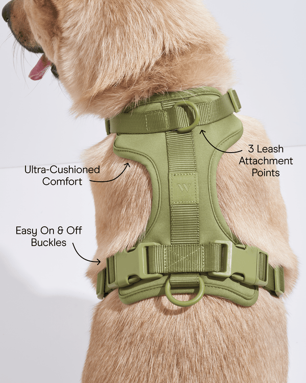 CloudComfort Dog Harness