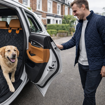 Every Road Trip Should Be Comfortable For Your Best Friend.