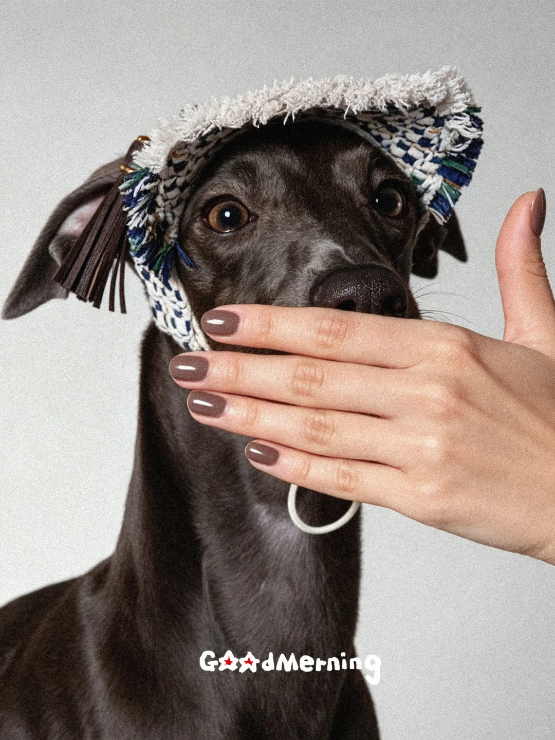 PawChic™ Signature Tweed Pet Cap