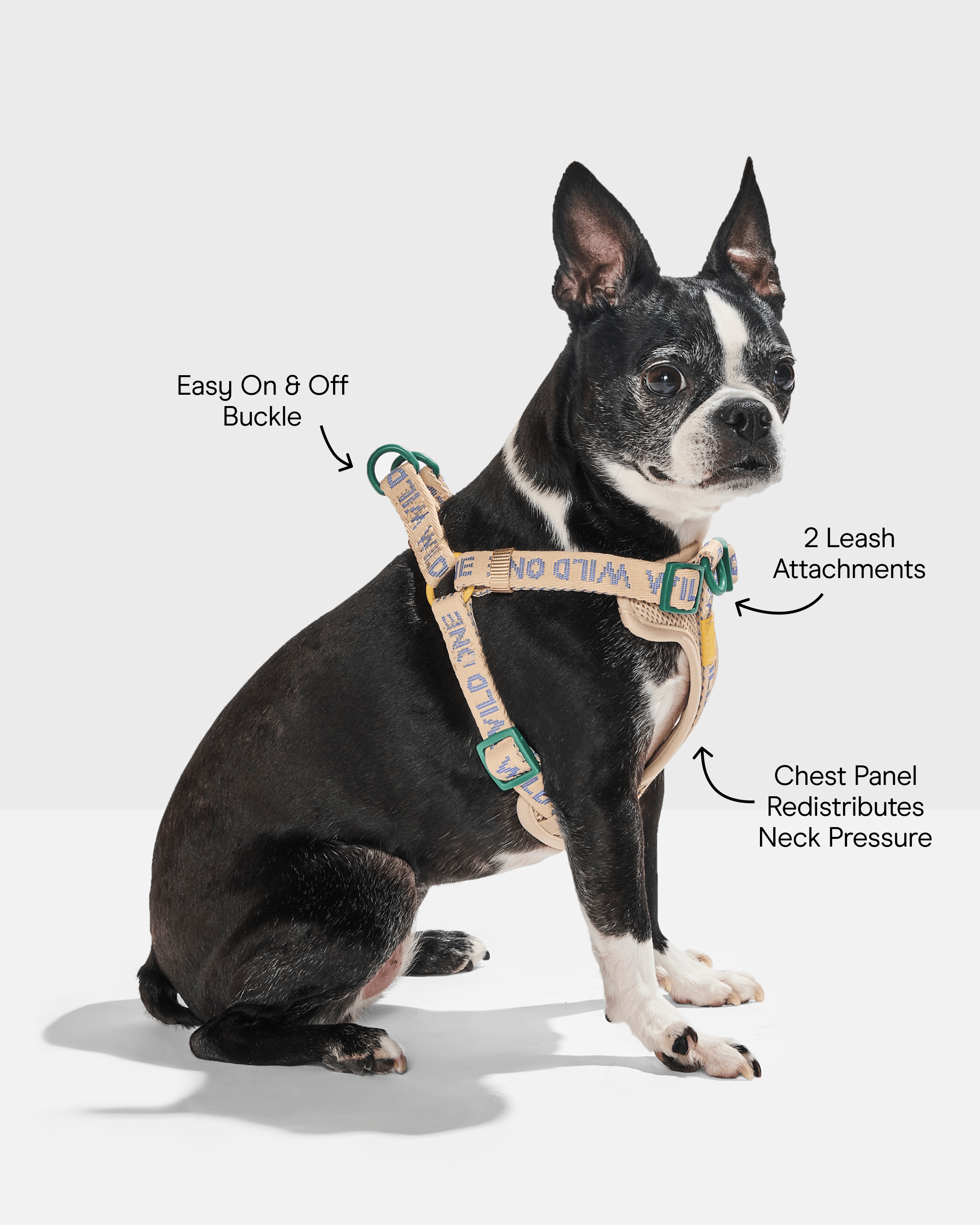 EasyStep Comfort Step In Harness