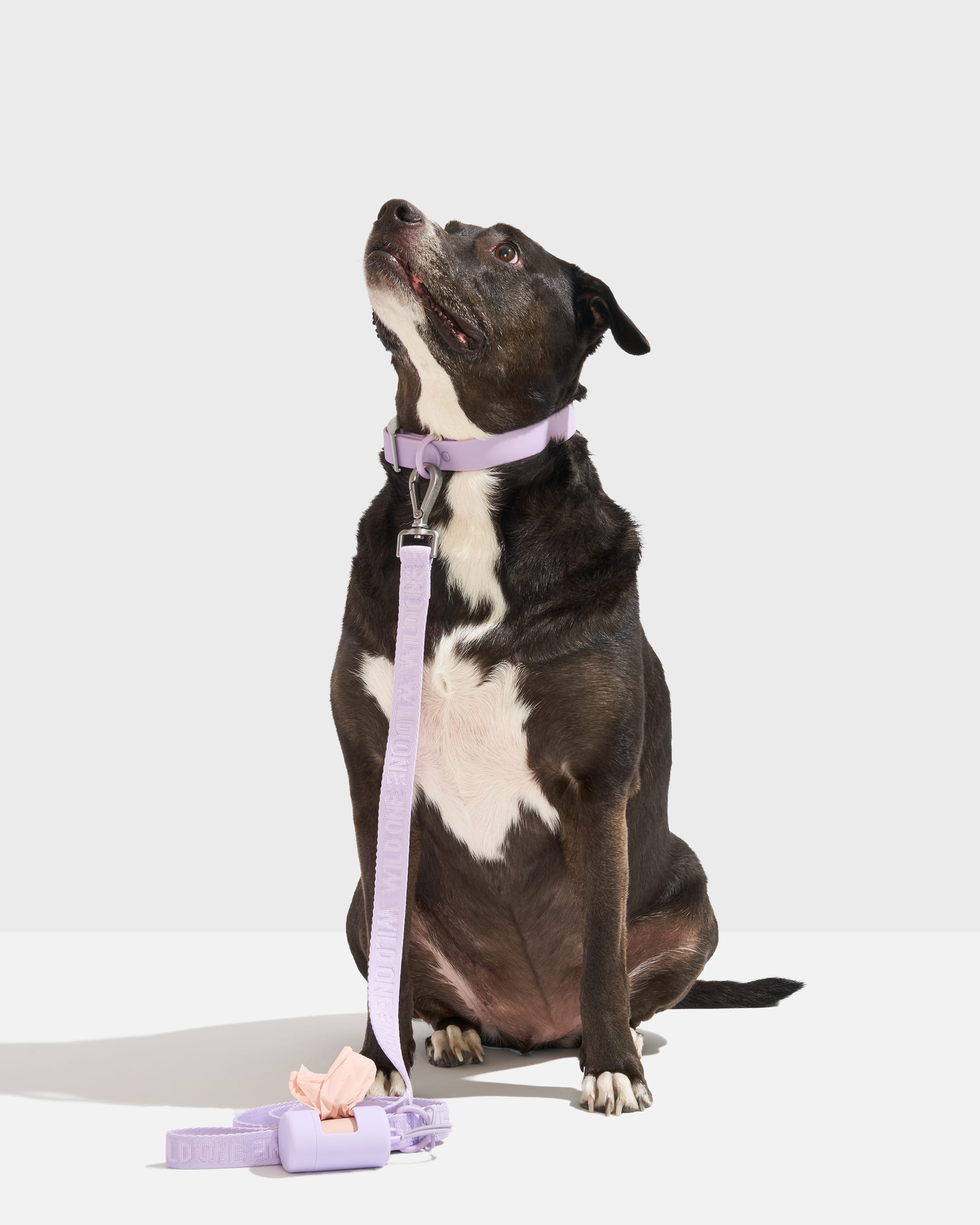 QuickRelease Collar & Leash Kit