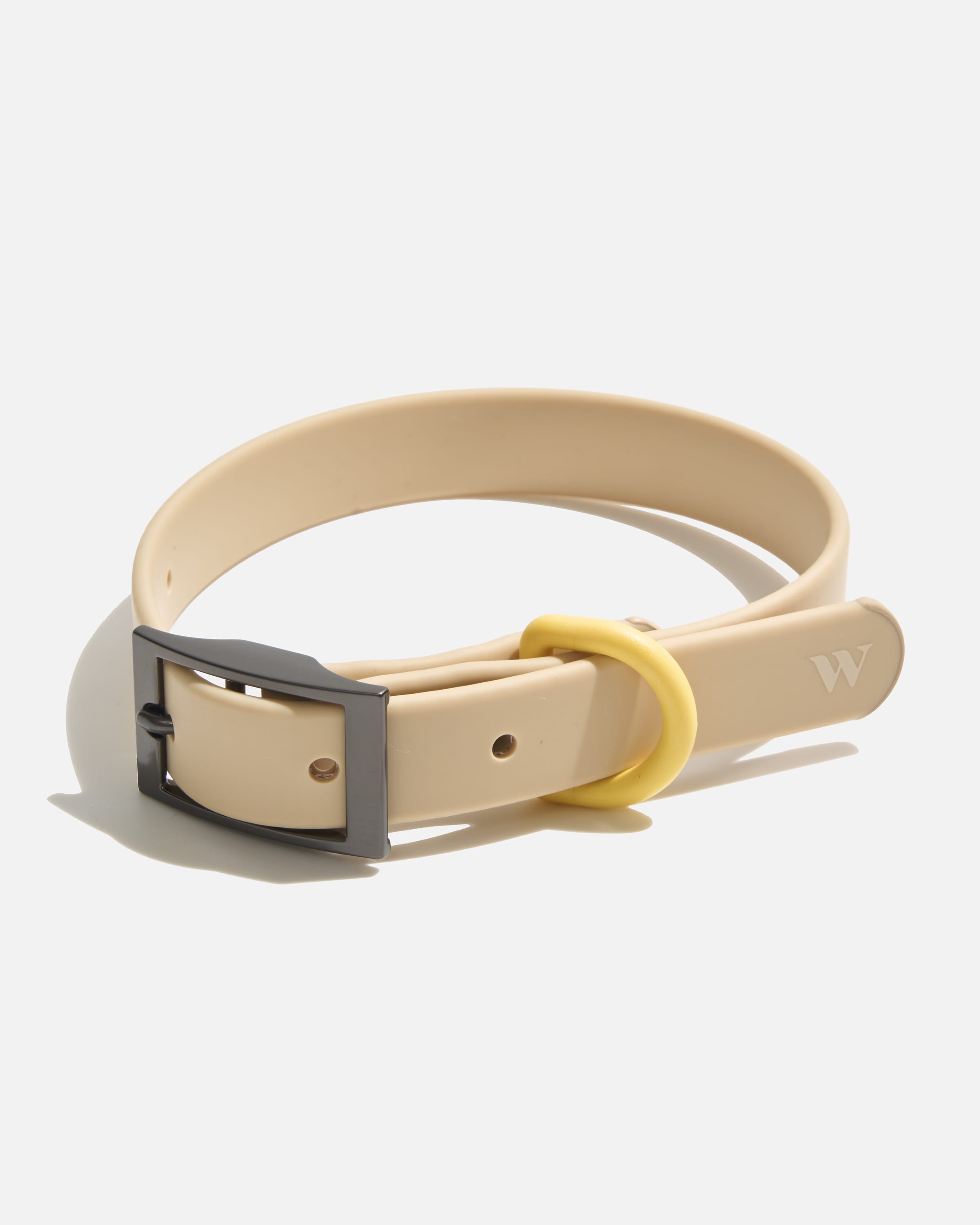 Everyday Waterproof Dog Collar