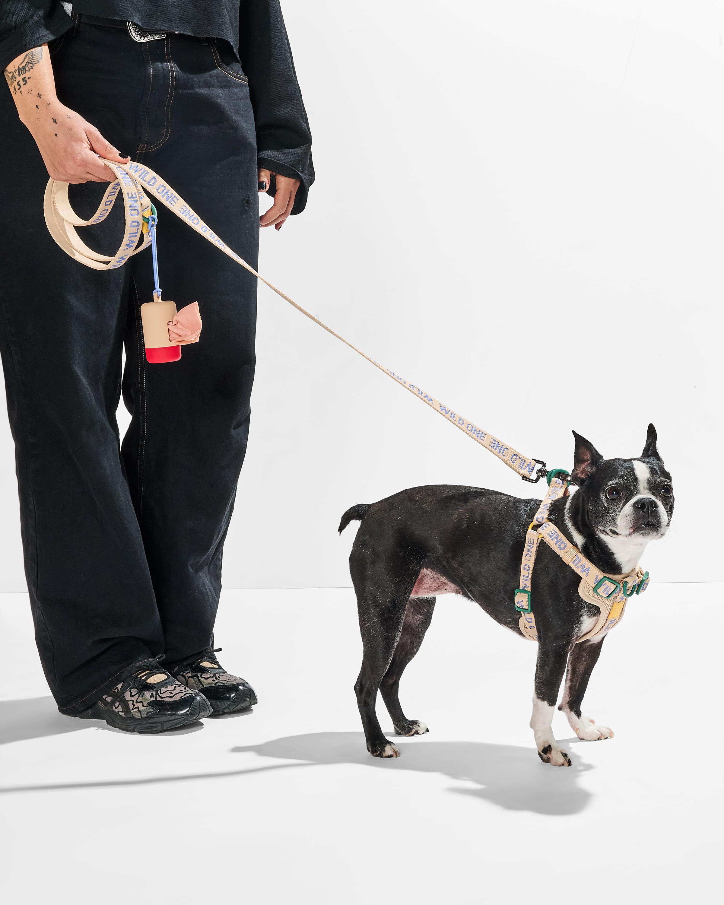 FeatherWalk Dog Leash