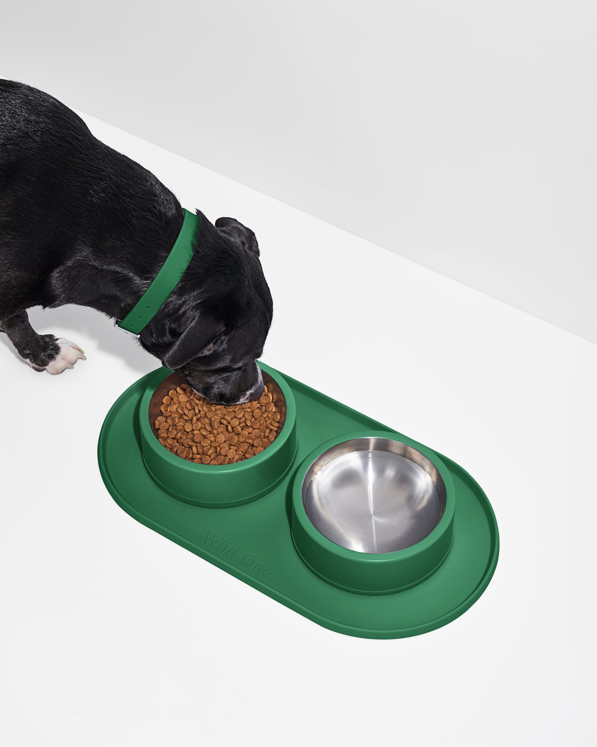 Everyday Pet Mealtime Kit