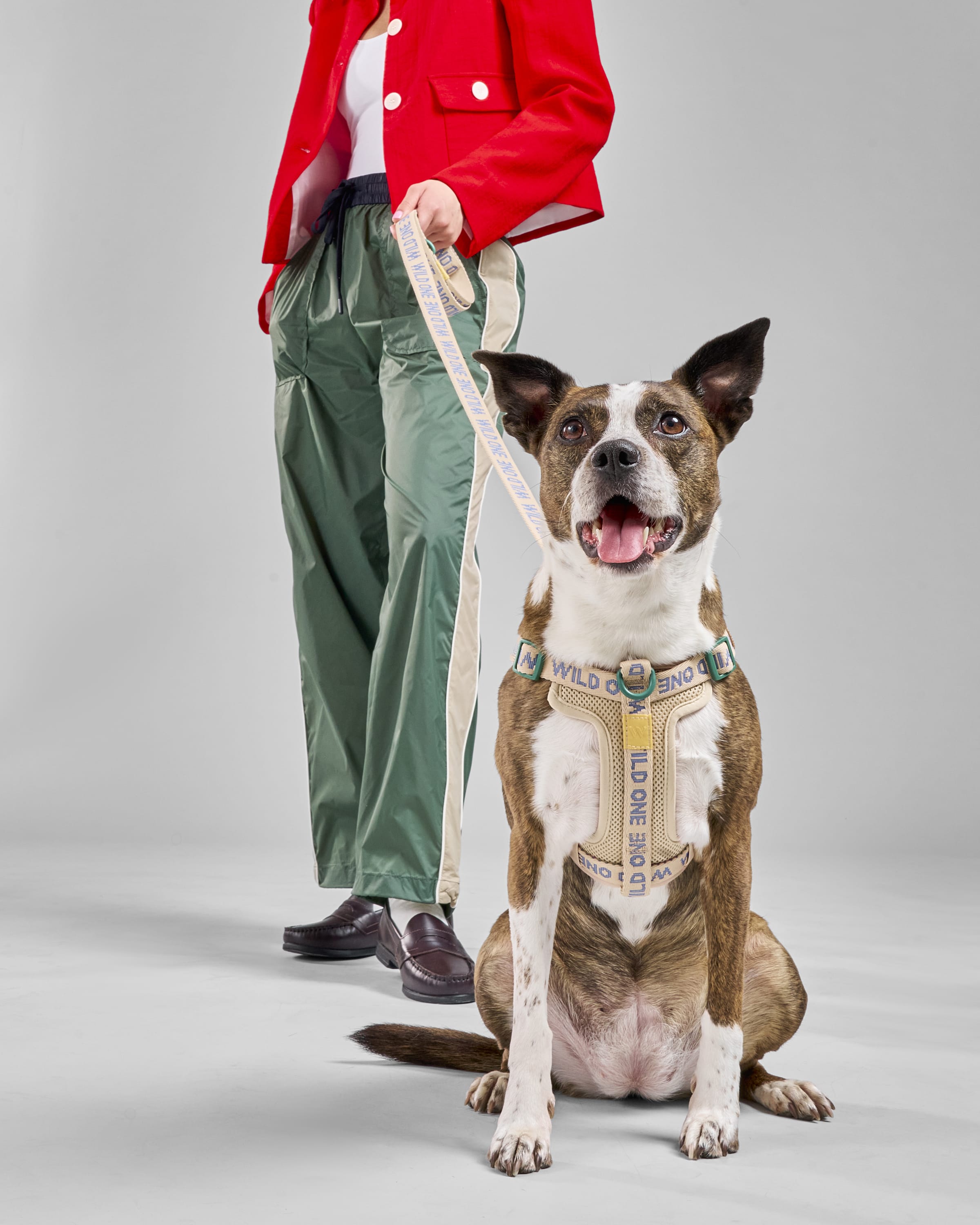 FeatherWalk Dog Leash