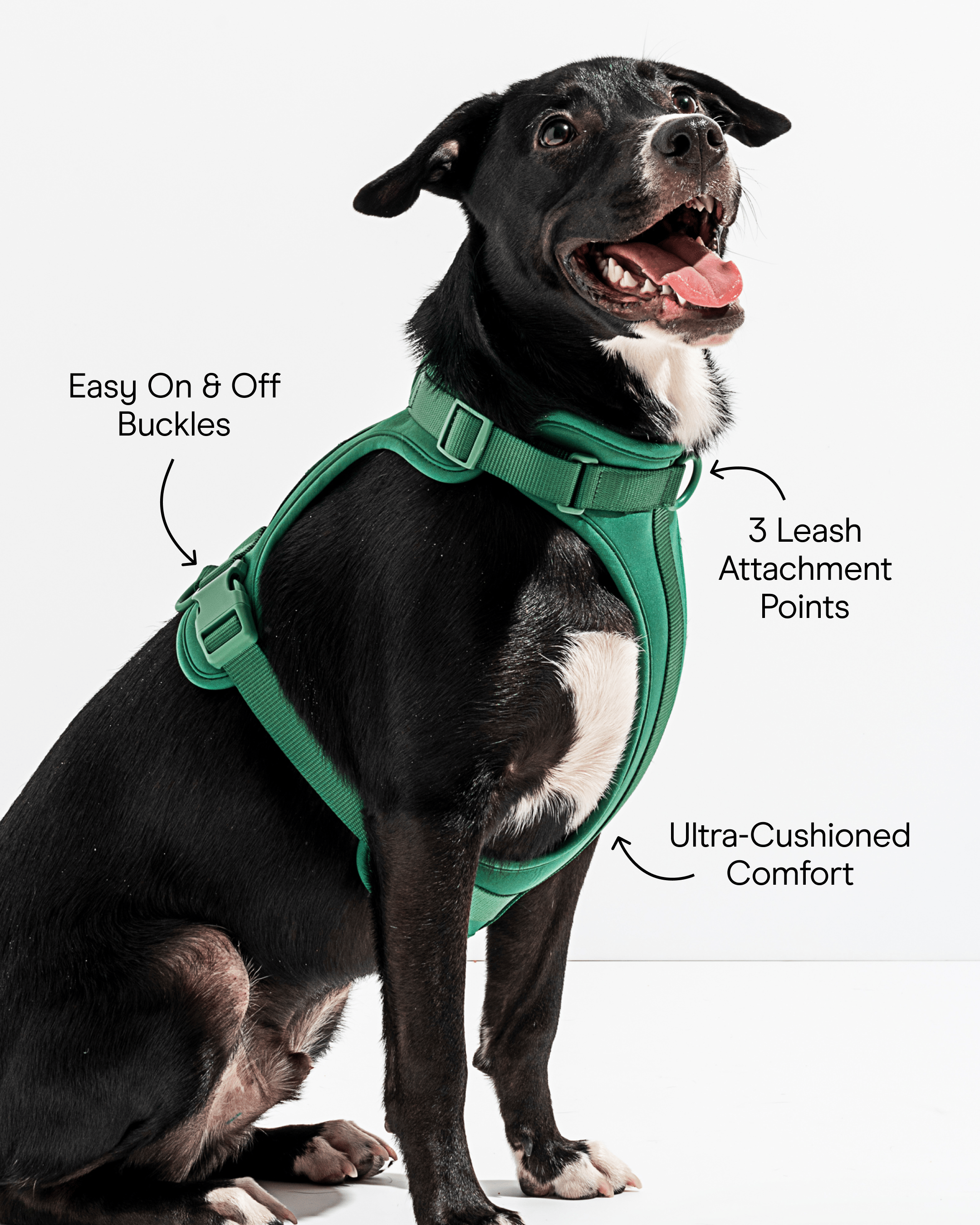 CloudComfort Dog Harness