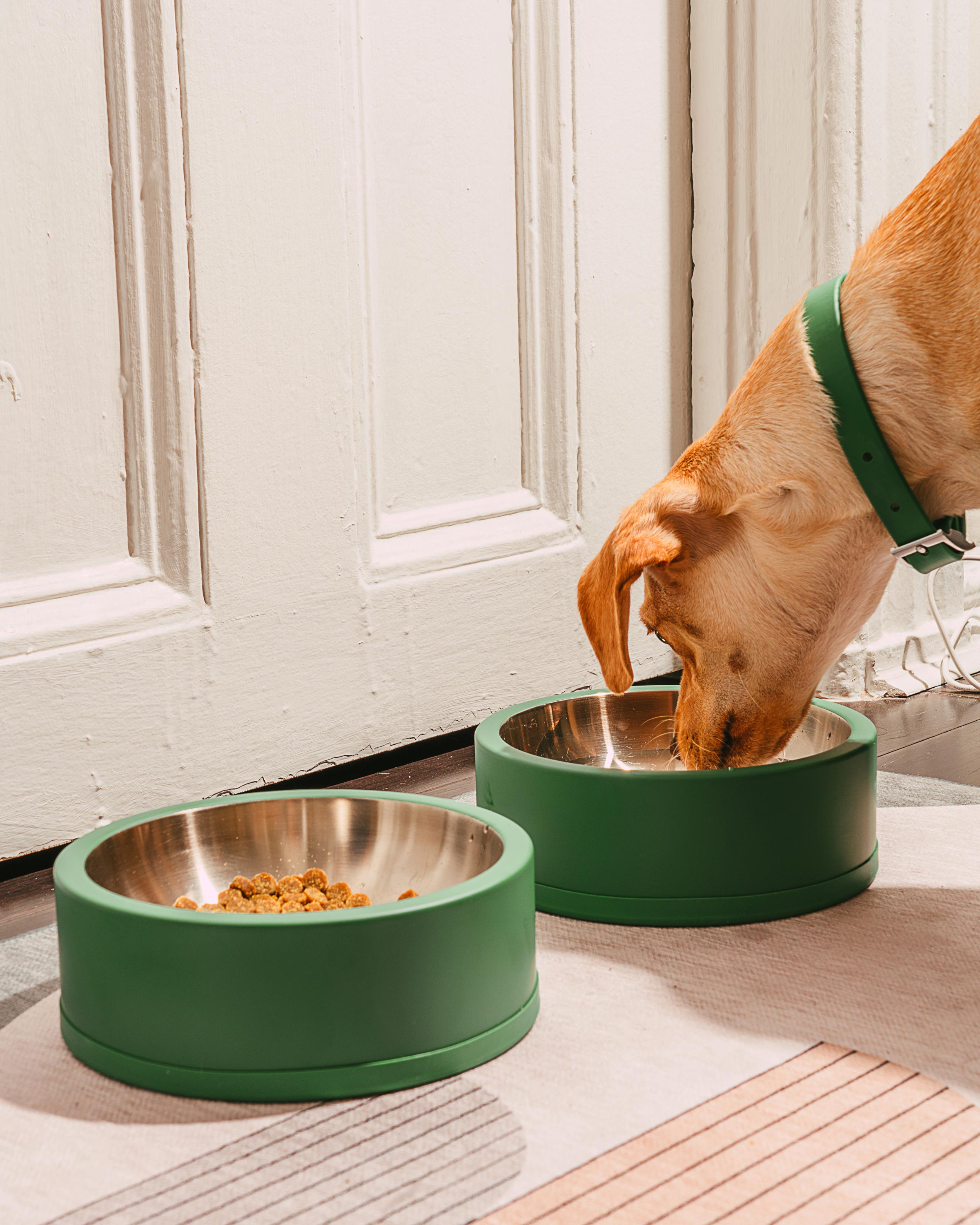 Everyday Stainless Classic Dog Bowl