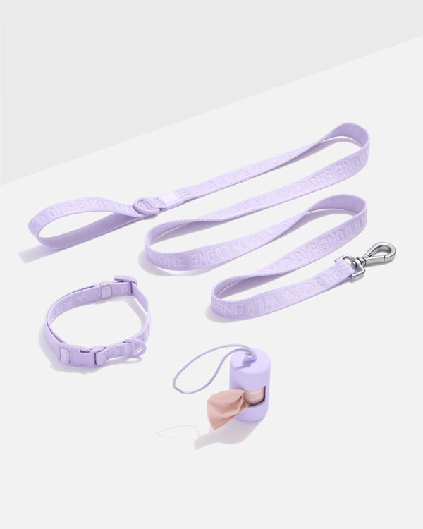 Quick-Release Collar Lightweight Walk Kit