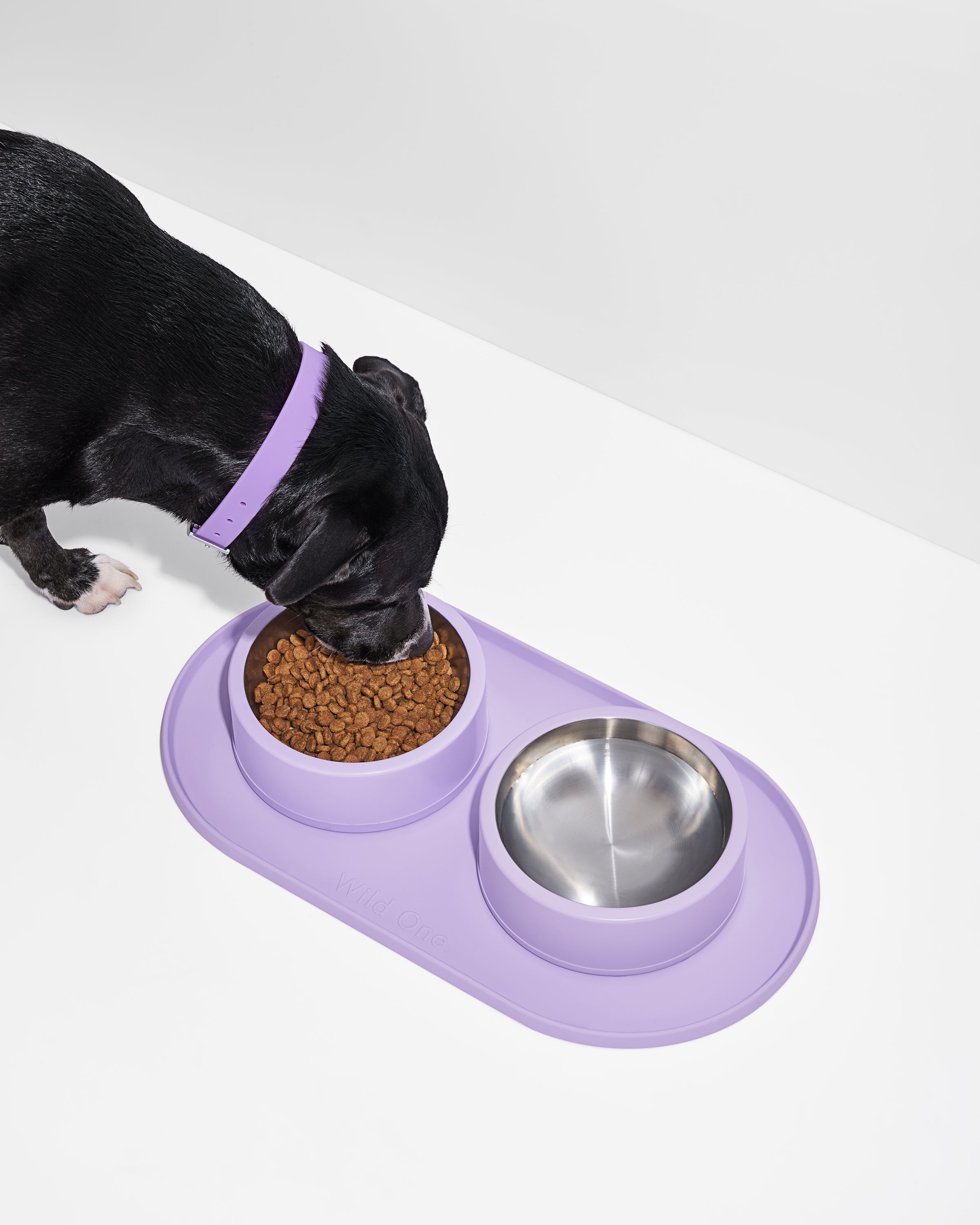 Everyday Pet Mealtime Kit