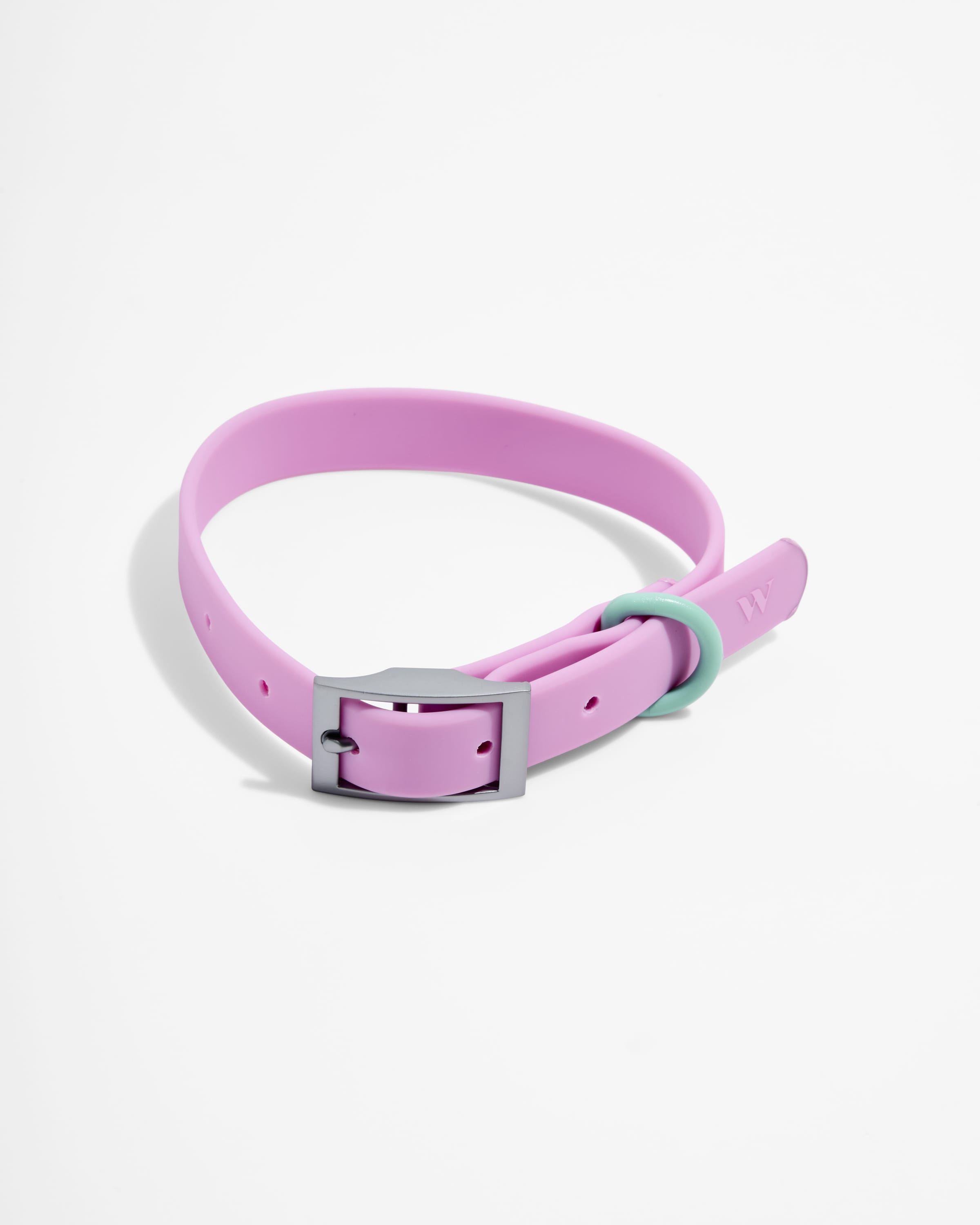 Everyday Waterproof Dog Collar