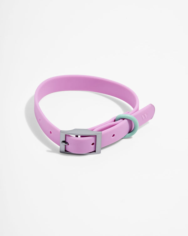 Everyday Waterproof Dog Collar