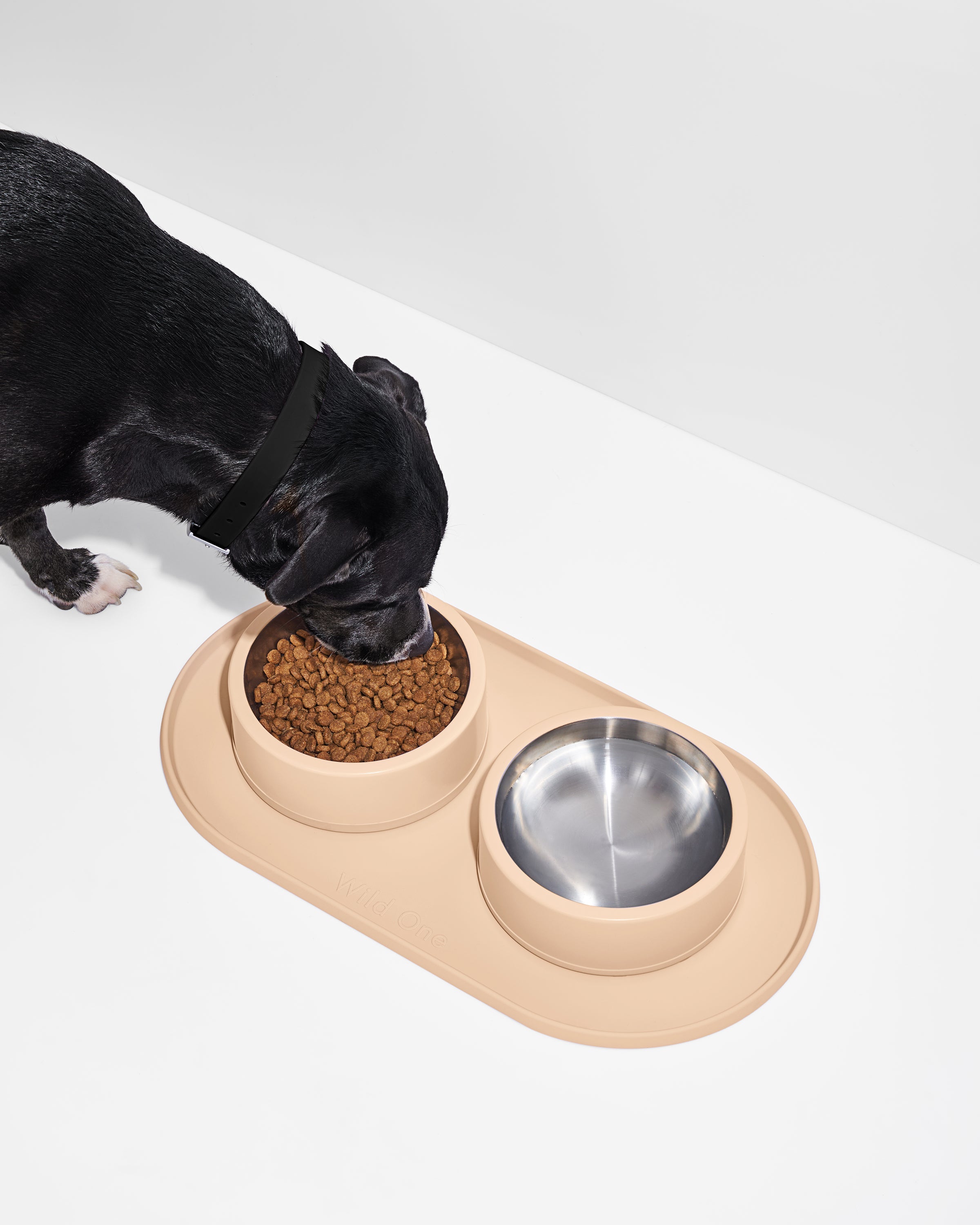 Everyday Pet Mealtime Kit